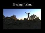 Freeing Joshua: 540x405 / 22 Кб