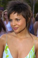 Ван Хельсинг: 265x400 / 21 Кб