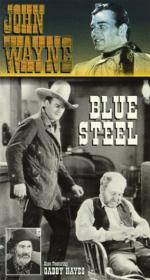 Голубая сталь: 255x475 / 36 Кб