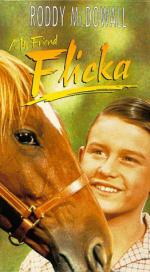 Мой друг Флика: 262x475 / 44 Кб