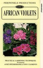 Скотт из Антарктики: 304x475 / 44 Кб