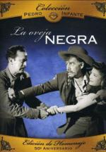 Фото Черная овца