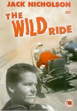 Дикая гонка: 327x475 / 34 Кб