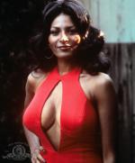 Фокси Браун: 849x1023 / 133 Кб