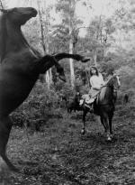 Возвращение на Снежную реку: 1500x2048 / 533 Кб