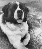 Бетховен: 1784x2048 / 497 Кб