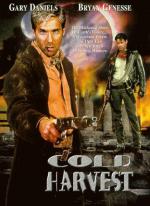 Мятежник: 347x475 / 49 Кб