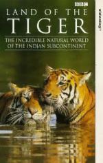 Земля тигров: 301x475 / 40 Кб