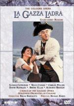 Фото Сорока - воровка