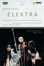 Электра: 317x475 / 34 Кб