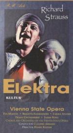 Электра: 263x475 / 32 Кб