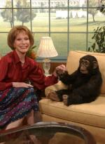 Шоу 70-х: 422x575 / 55 Кб