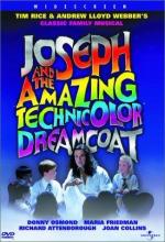 Joseph and the Amazing Technicolor Dreamcoat: 325x475 / 50 Кб