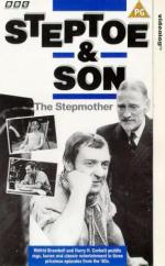 Степто и сын: 295x475 / 36 Кб