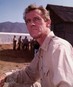 Крысиный патруль: 861x1023 / 166 Кб