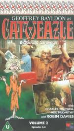 Кетвизл: 271x475 / 41 Кб