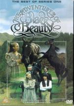 "The Adventures of Black Beauty": 334x475 / 51 Кб