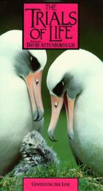 "The Trials of Life": 258x475 / 34 Кб