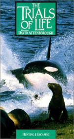 "The Trials of Life": 255x475 / 44 Кб