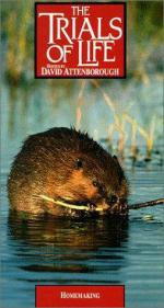 "The Trials of Life": 254x475 / 44 Кб