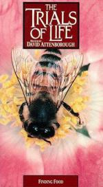 "The Trials of Life": 262x475 / 44 Кб