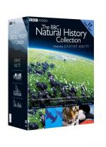 "The Life of Birds": 361x500 / 42 Кб