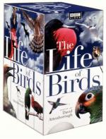"The Life of Birds": 362x475 / 46 Кб