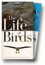 "The Life of Birds": 334x475 / 39 Кб