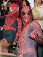 Человек-паук 2: 305x400 / 40 Кб