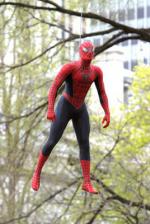 Человек-паук 2: 268x400 / 32 Кб