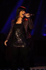 Американский идол: Поиск суперзвезды: 435x653 / 28 Кб