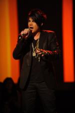 Американский идол: Поиск суперзвезды: 435x653 / 28 Кб