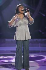 Американский идол: Поиск суперзвезды: 435x653 / 48 Кб