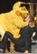 Американский идол: Поиск суперзвезды: 274x400 / 29 Кб