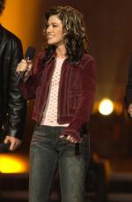 Американский идол: Поиск суперзвезды: 263x400 / 21 Кб