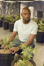 Косяки: 334x500 / 52 Кб