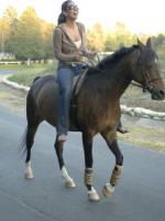 Настоящие домохозяйки округа Ориндж: 407x541 / 36 Кб