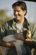 Дикая жизнь: 216x325 / 16 Кб