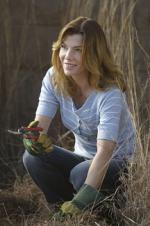 Дикая жизнь: 216x325 / 20 Кб