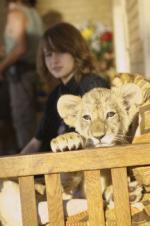 Дикая жизнь: 216x325 / 19 Кб