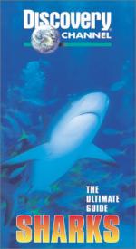 Фото The Ultimate Guide: Sharks