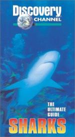 Фото The Ultimate Guide: Sharks