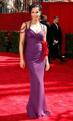 The 61st Primetime Emmy Awards: 243x400 / 25 Кб