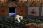 Puppy Bowl VII: 267x178 / 14 Кб