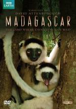 Фото Madagascar