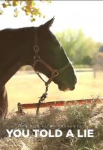 You Told a Lie: 487x711 / 63 Кб