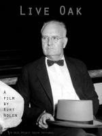 Live Oak: 1544x2048 / 195 Кб