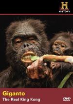 Giganto: The Real King Kong: 353x500 / 41 Кб