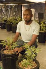 Косяки: 1366x2048 / 561 Кб