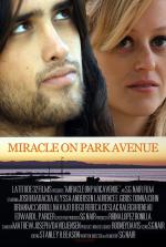 Miracle on Park Avenue: 1382x2048 / 429 Кб